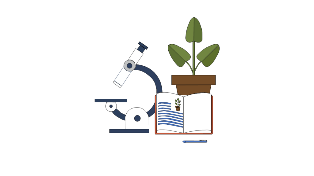 Loupe binoculaire avec une plante et un livre à côté