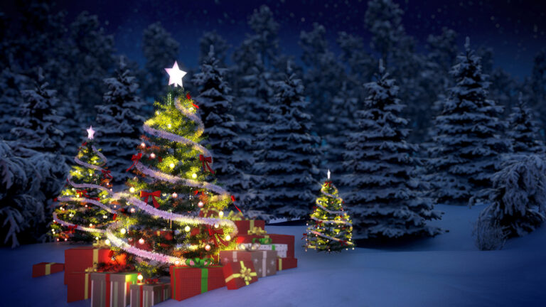 Trois beaux sapins de Noël illuminés au milieu d'une forêt hivernale